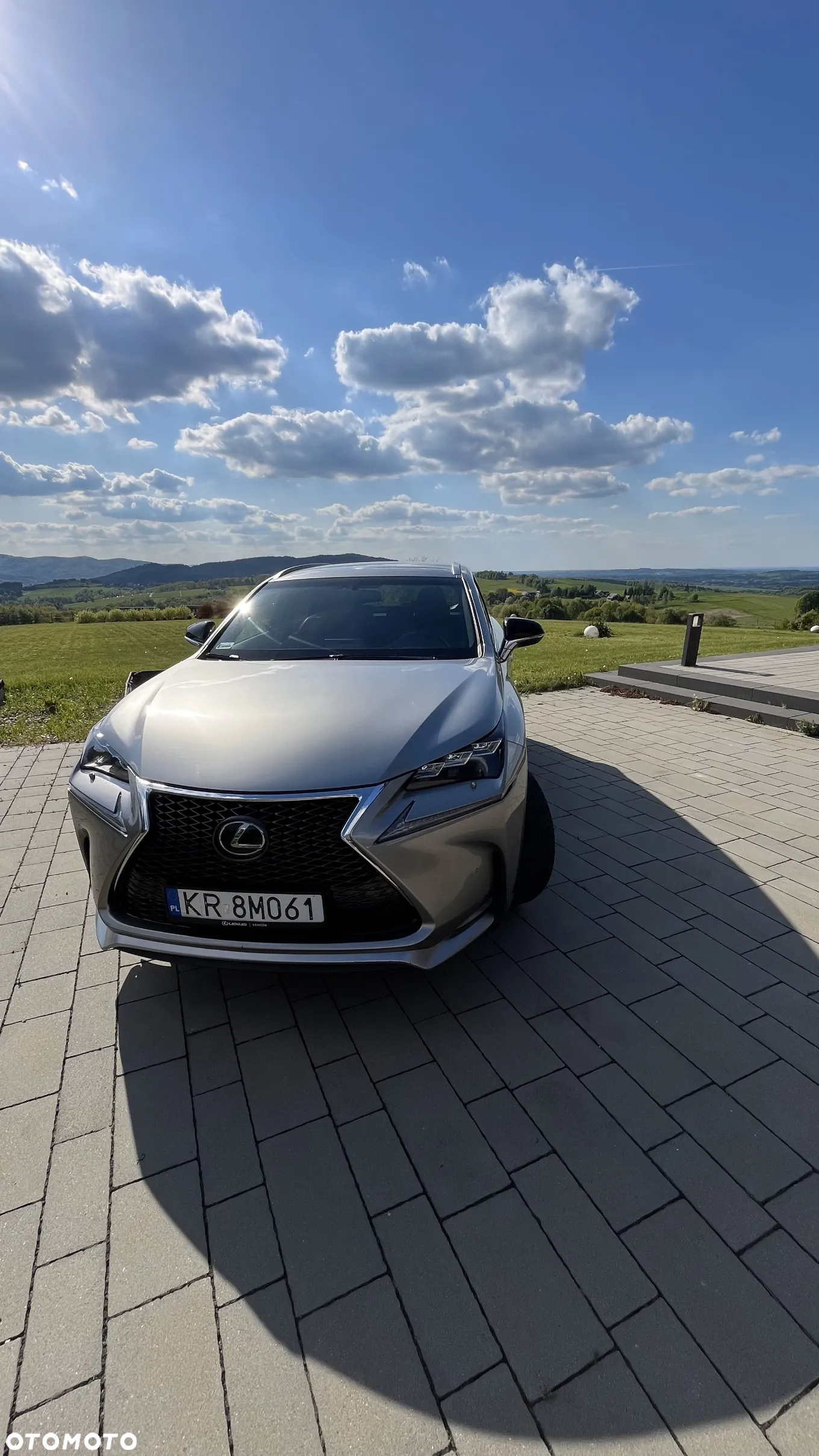 Lexus NX 200t F Sport AWD - 10