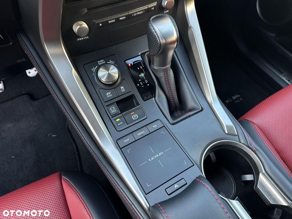 Lexus NX 300h F Sport Edition AWD - 19