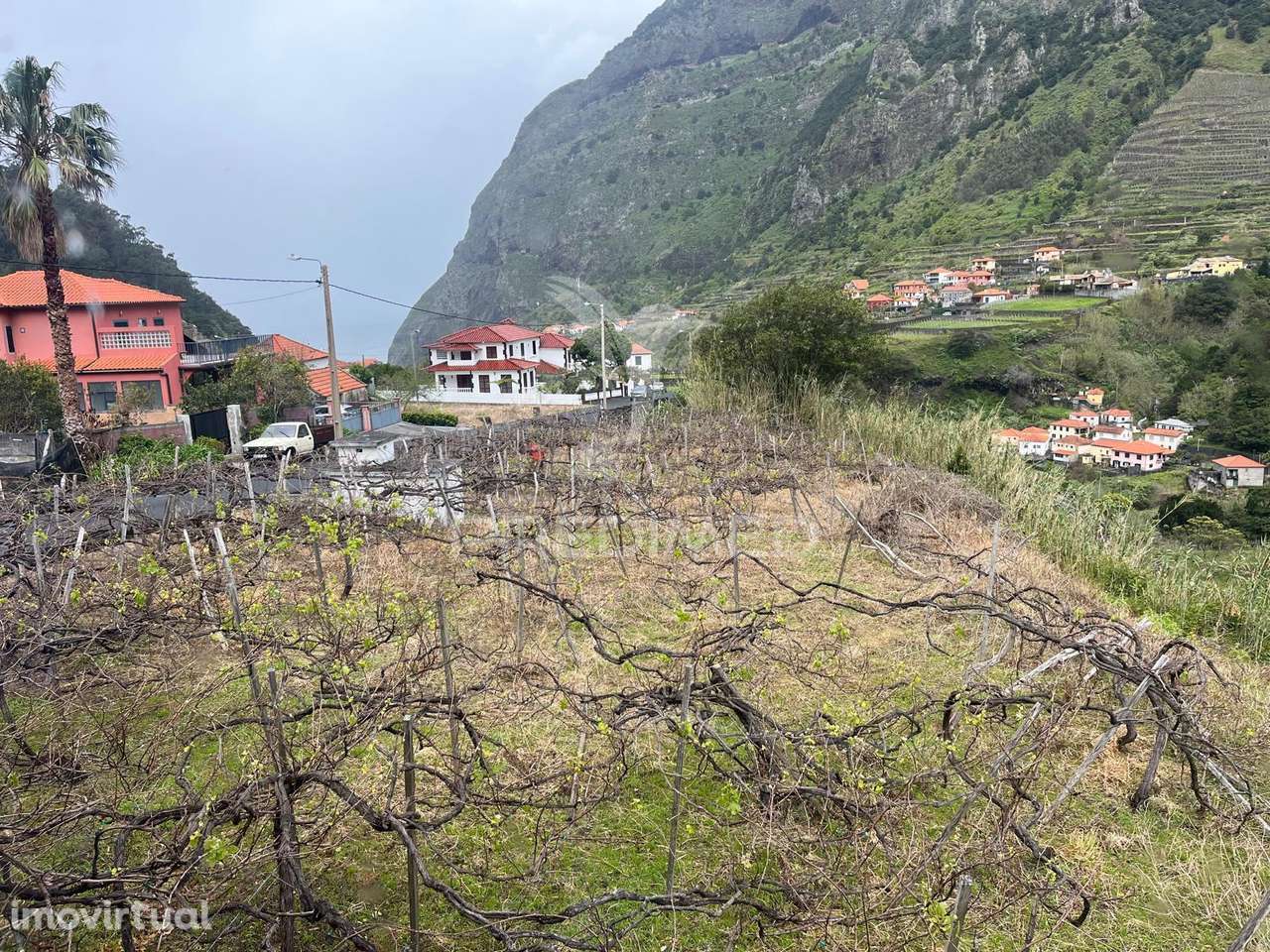 MORADIA T3 COM 2.000M2 DE TERRENO EM S. VICENTE - Grande imagem: 3/17