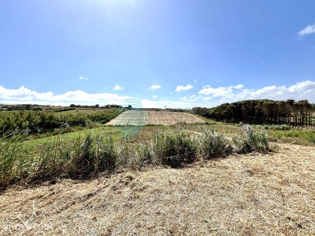 Terreno agrícola localizado perto da Praia Azul - Grande imagem: 4/8