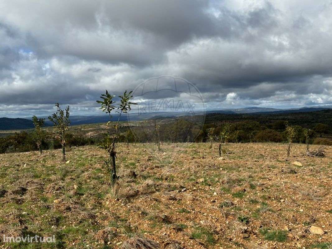 Terreno  para venda - Grande imagem: 2/6