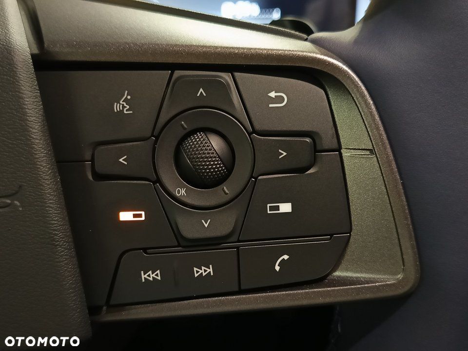 Nissan Leaf - 25