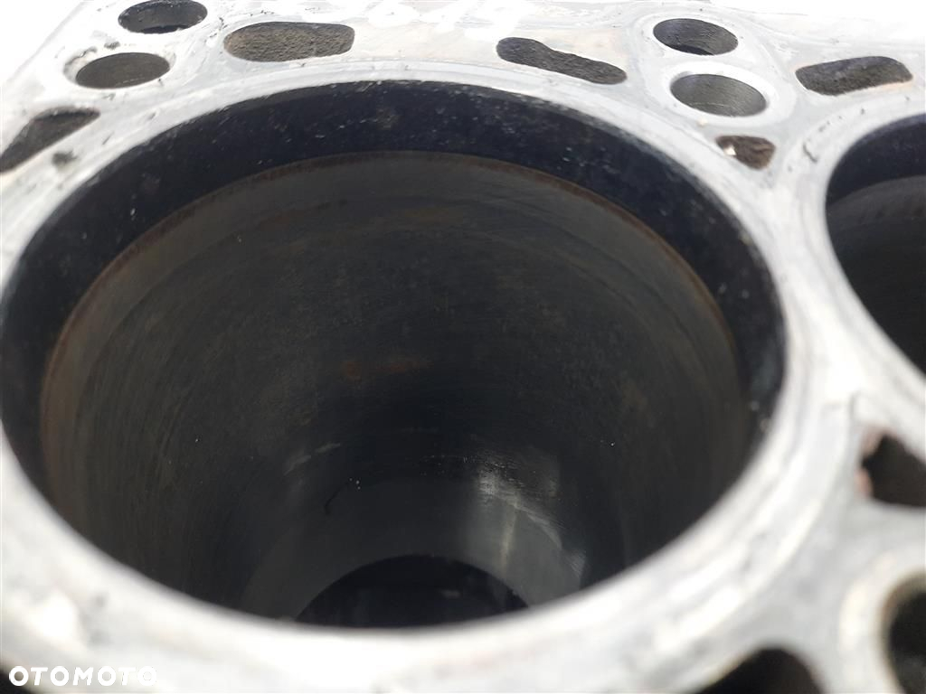 Blok silnika Skoda Fabia II 1.6TDI KOD:CAYA GOLF V AUDI A3 2007-2014 - 8