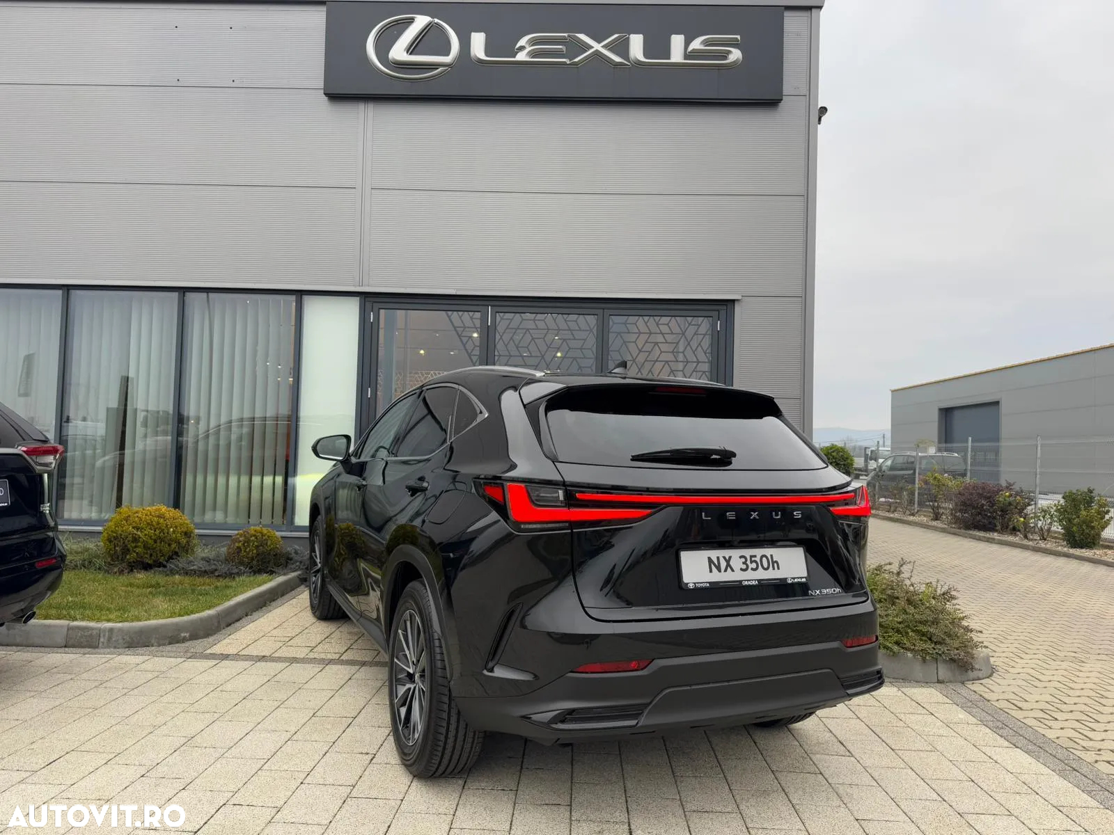 Lexus Seria NX 350h AWD CVT HEV Executive - 12
