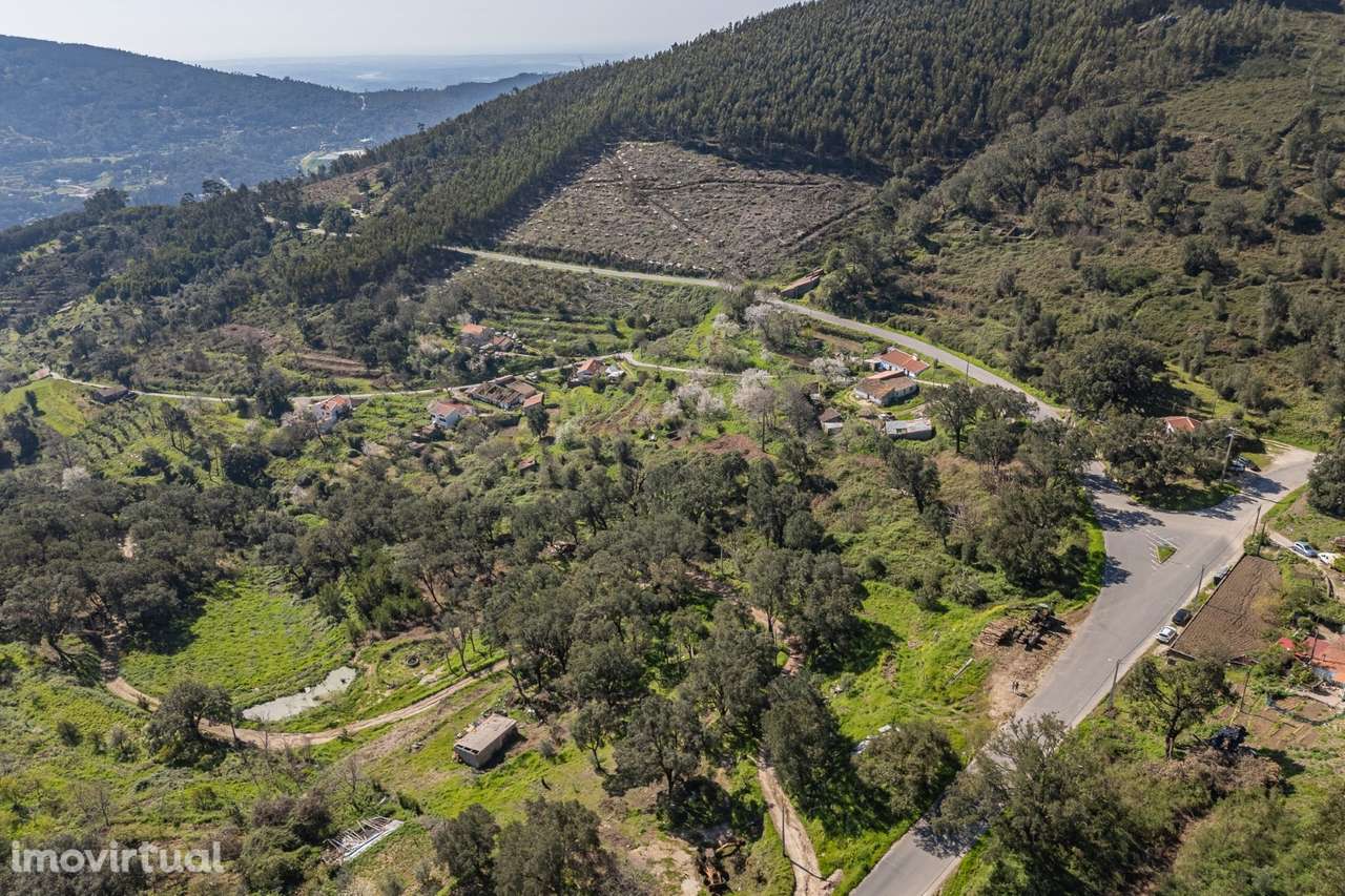 Terreno misto em Monchique - Grande imagem: 3/33