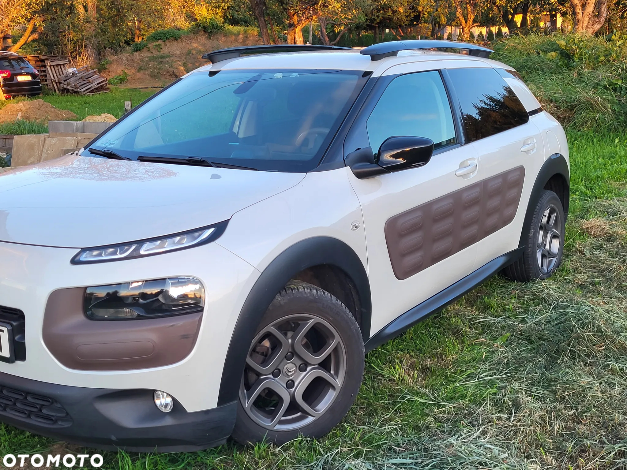 Citroën C4 Cactus - 8