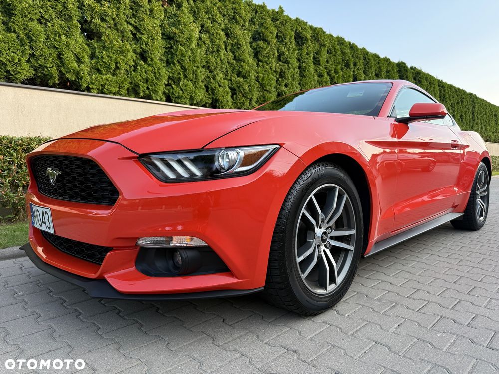 Ford Mustang 2.3 EcoBoost - 18