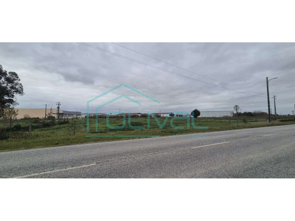 Terreno Urbanizável Venda Benavente - Grande imagem: 3/4