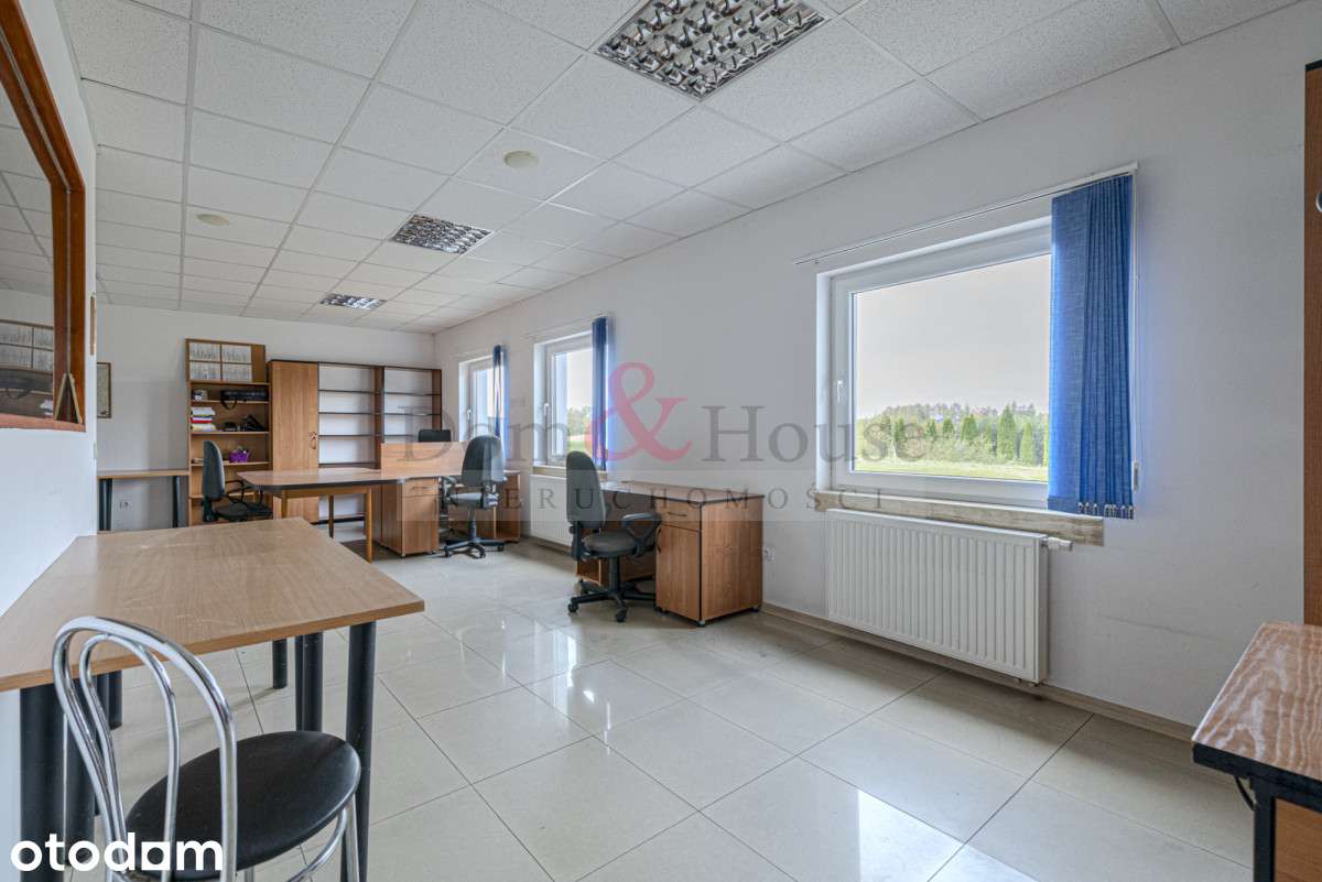 Hotel dla psów, schronisko, szkolenia, dom działka - Pełny obrazek: 4/13