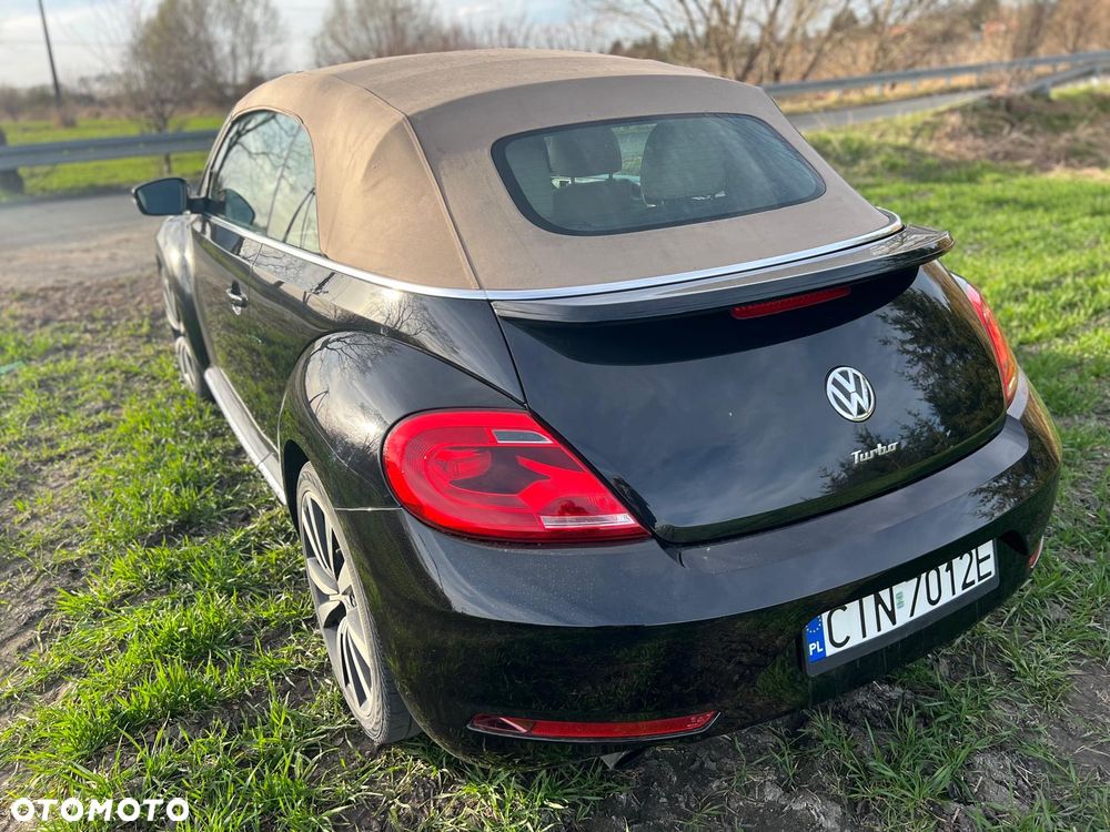 Volkswagen Beetle - 4