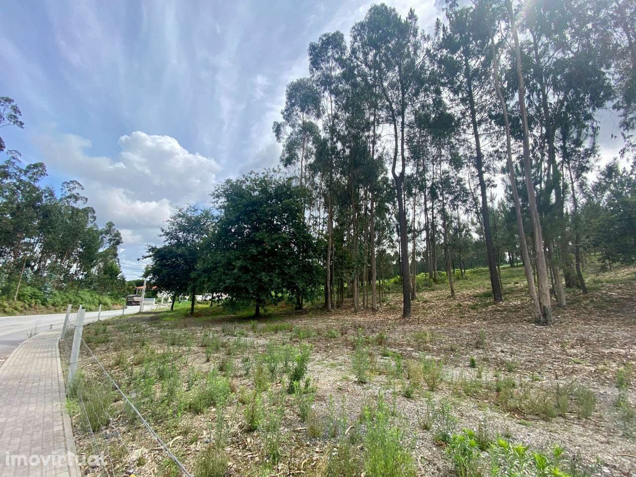 Terreno Rústico  Venda em Vilarinho das Cambas,Vila Nova de Famalicão - Grande imagem: 4/7