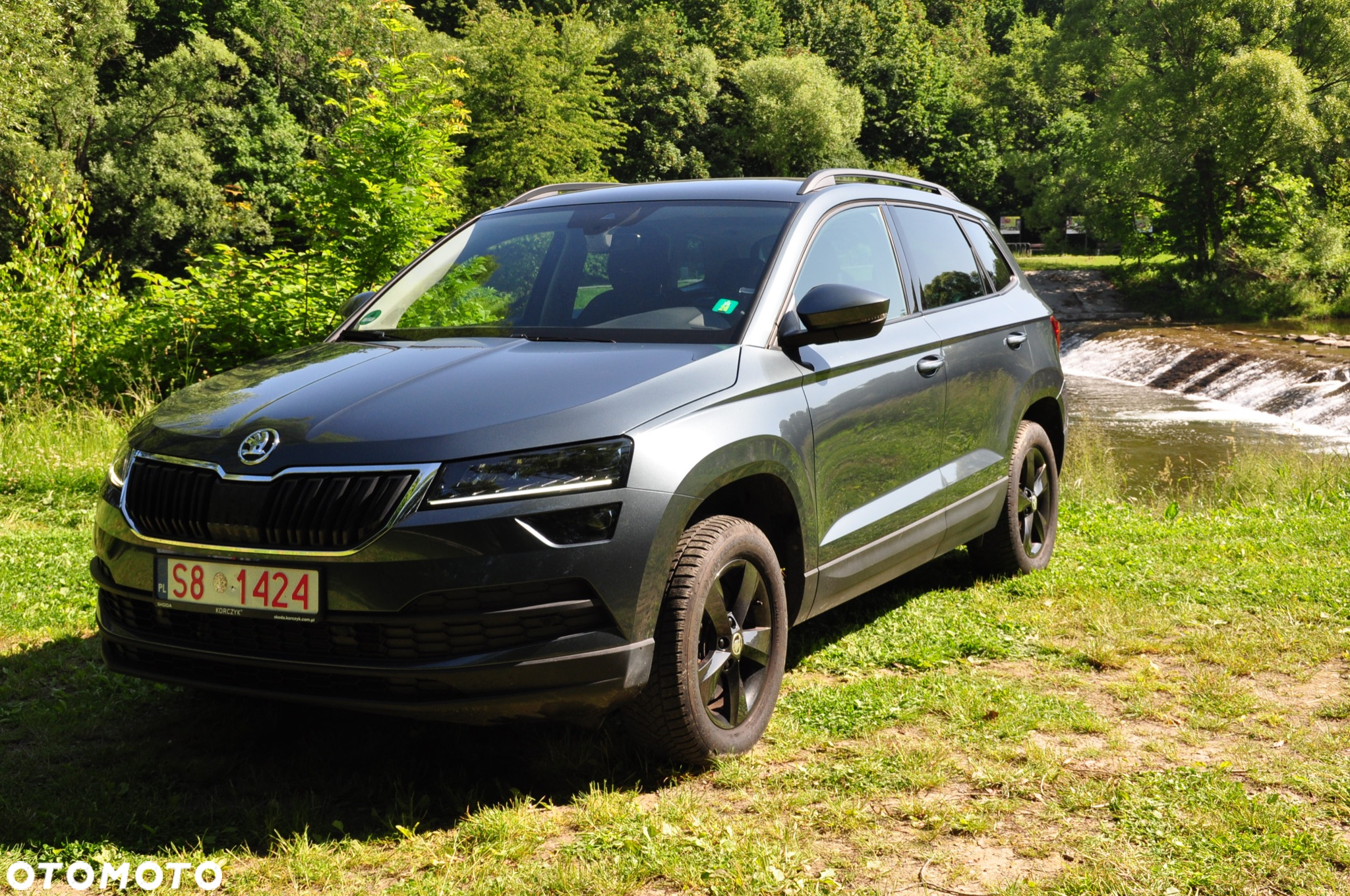 Skoda Karoq 2.0 TDI 4x4 DSG Drive - 3