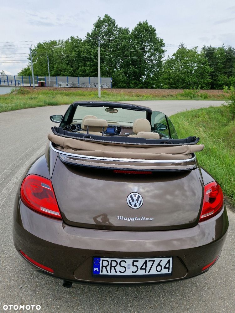 Volkswagen Beetle - 7