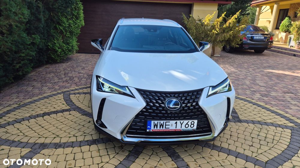 Lexus UX 250h GPF Business 2WD - 2