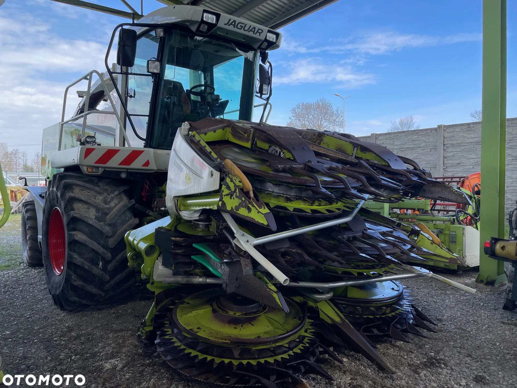 Claas JAGUAR 890 - 3