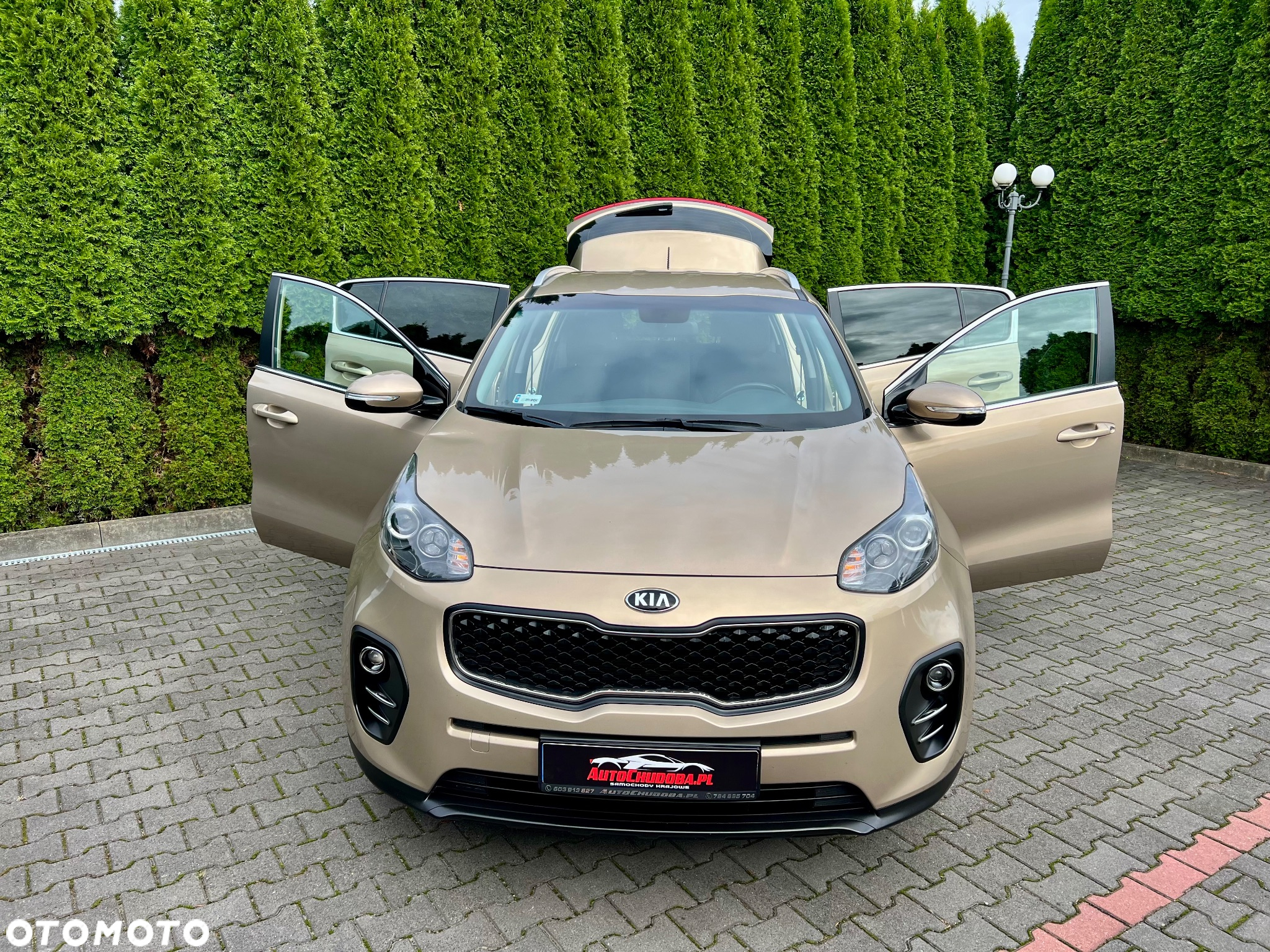 Kia Sportage 1.6 GDI M 2WD - 5