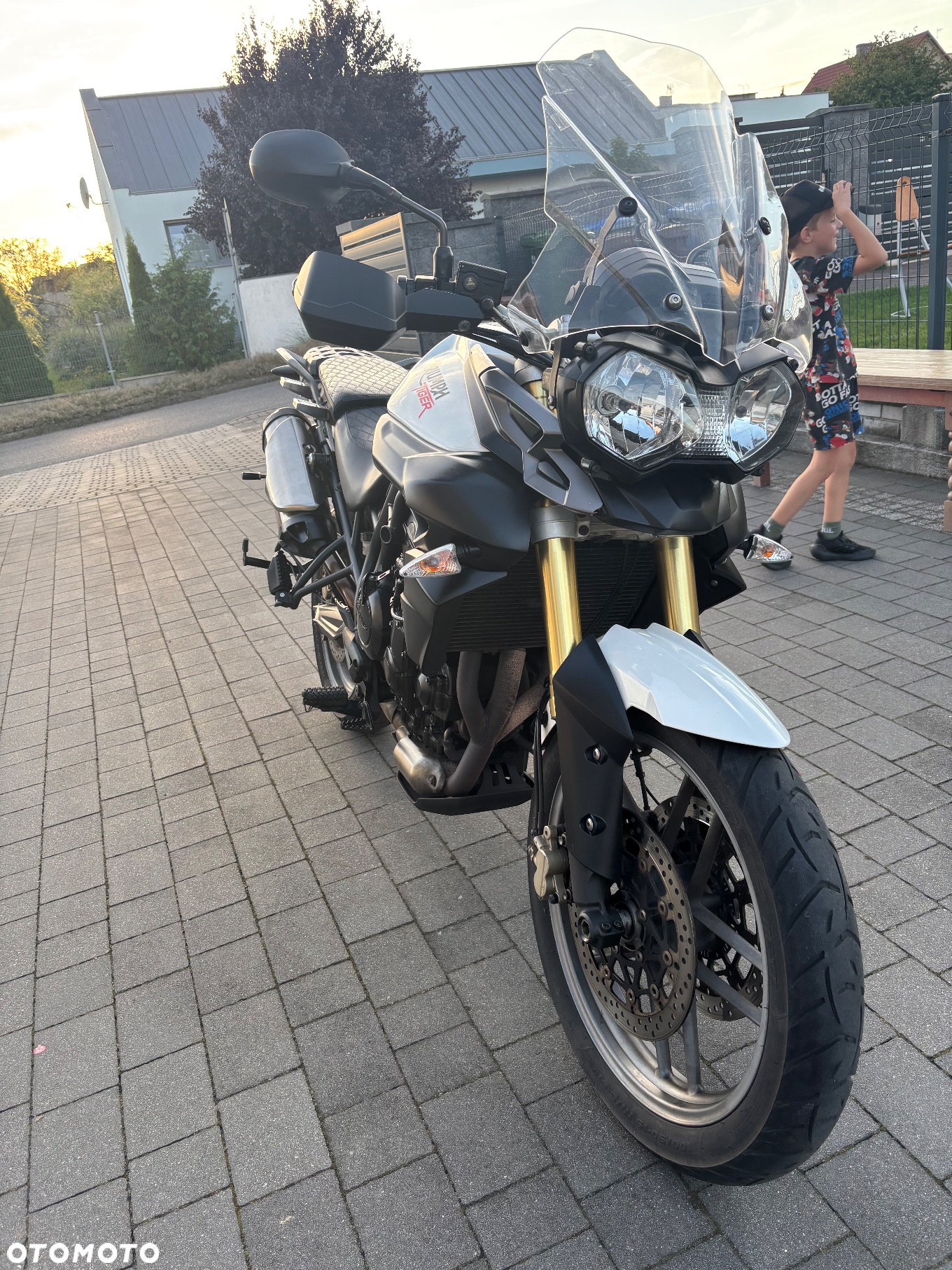 Triumph Tiger - 22