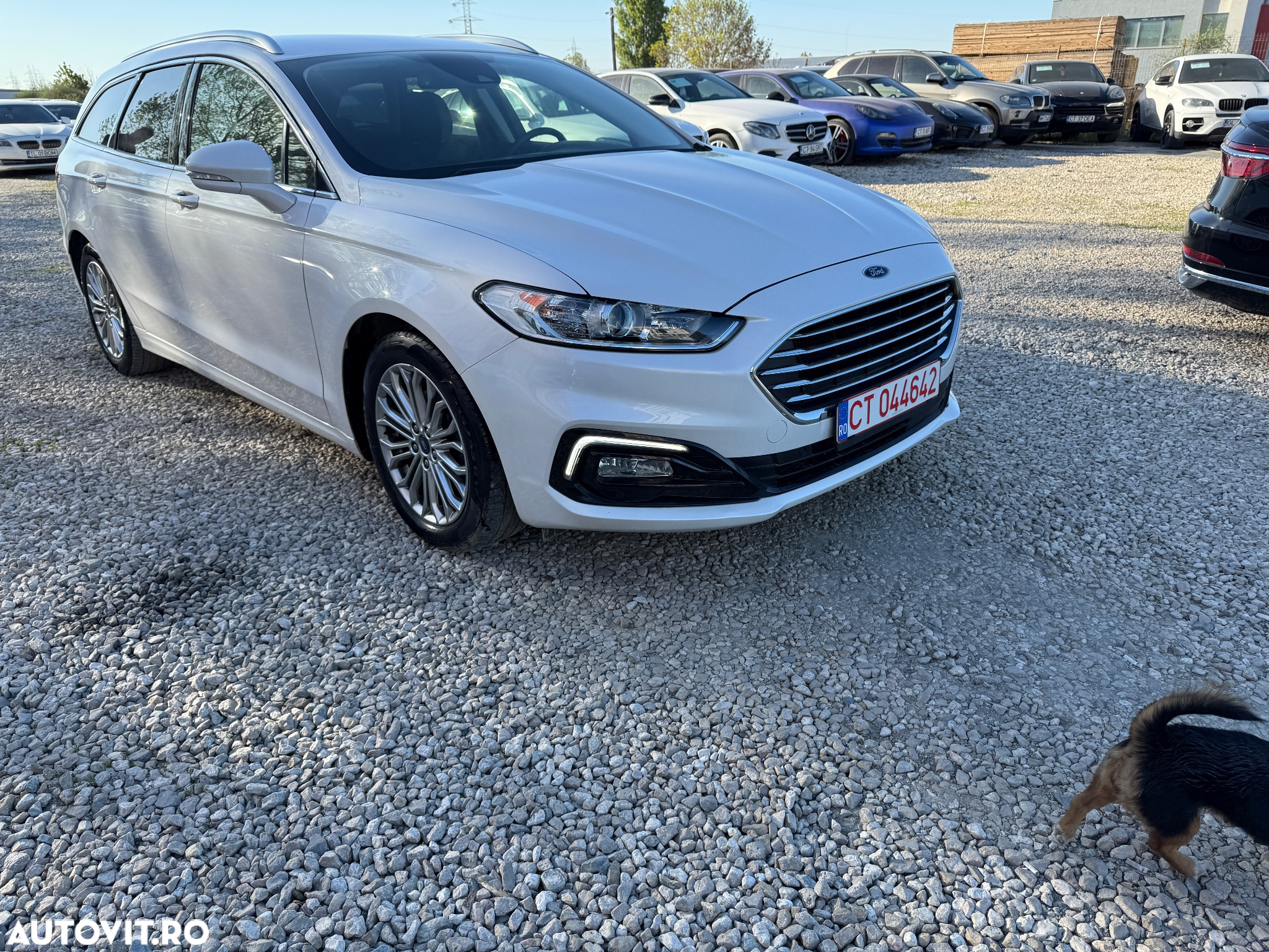 Ford Mondeo Turnier 2.0 TDCi Start-Stopp PowerShift-Aut Business Edition - 36