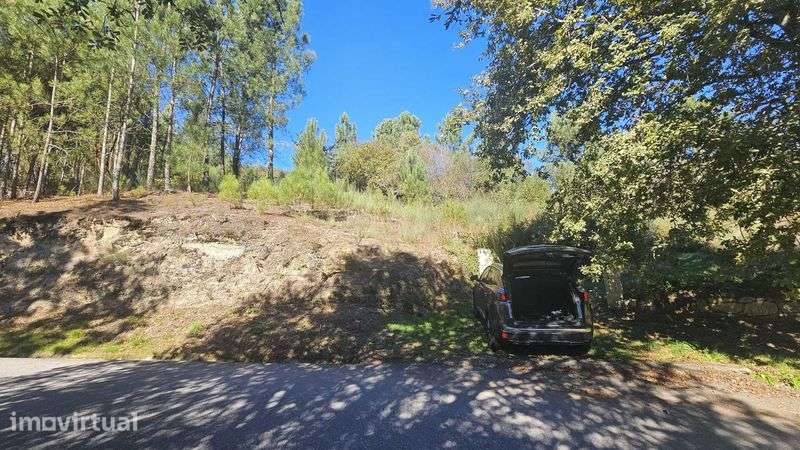 Terreno em Gove Baião - Grande imagem: 2/7