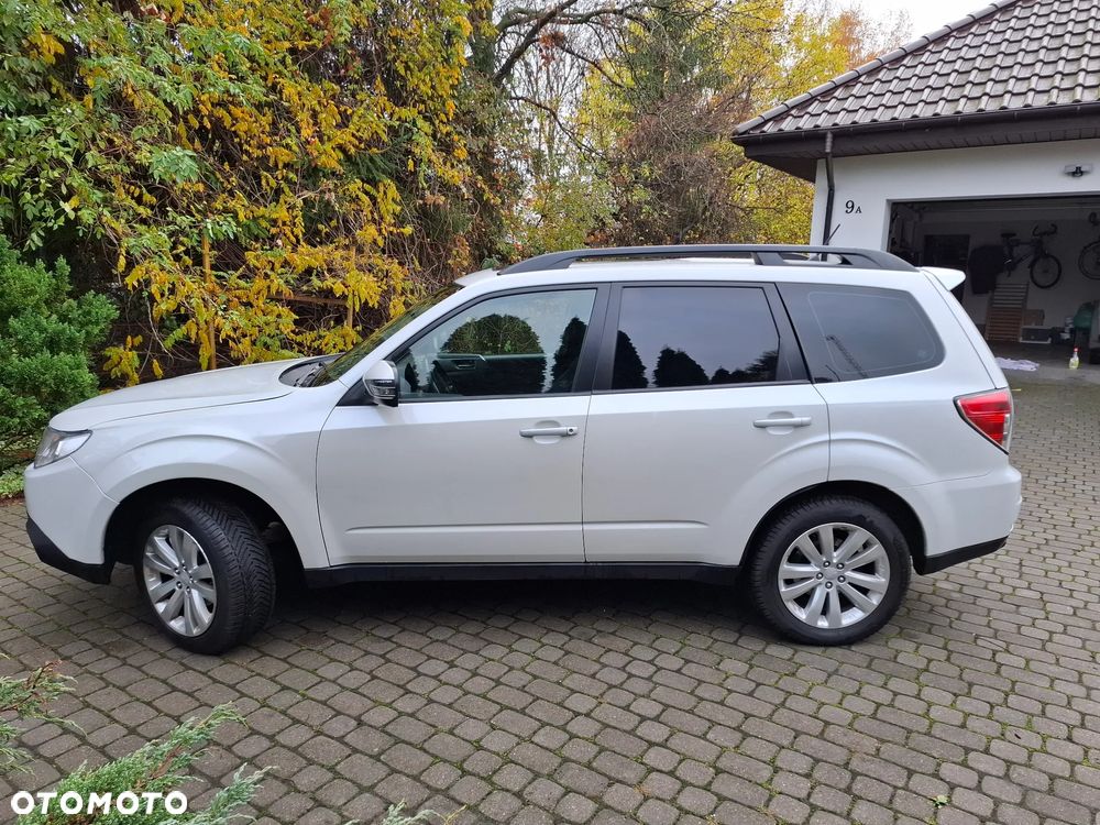 Subaru Forester - 4