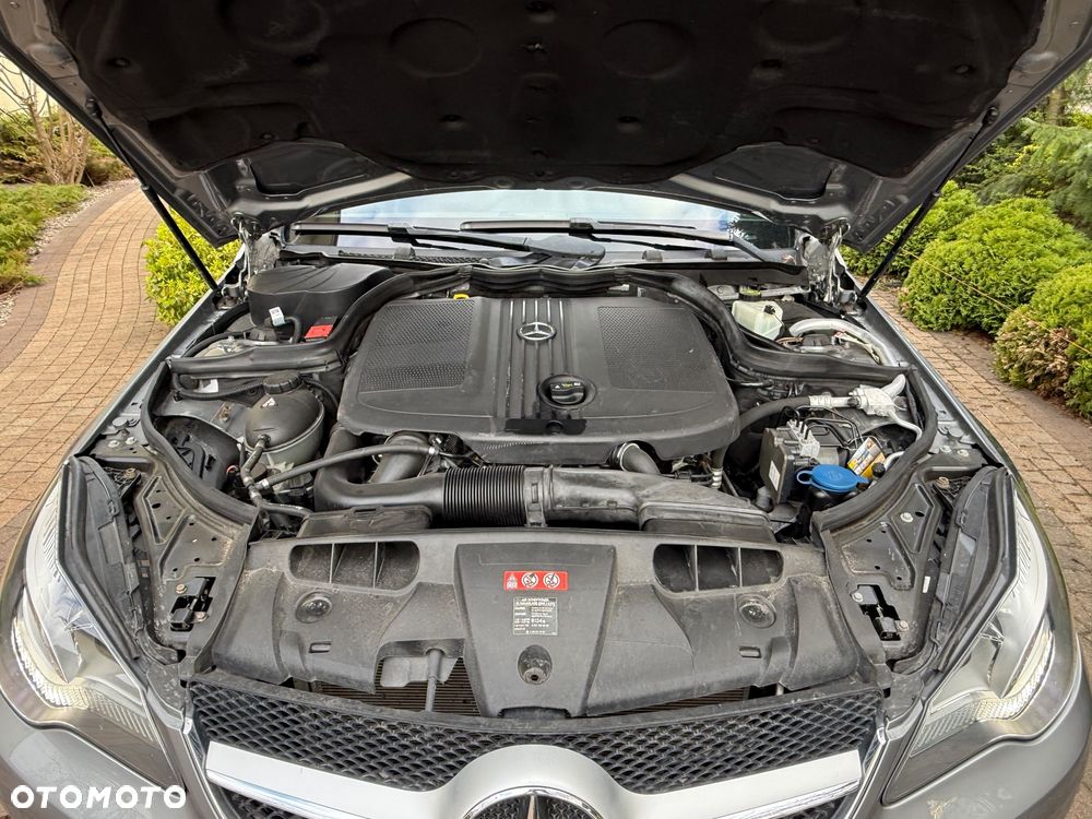 Mercedes-Benz Klasa E 220 CDI DPF BlueEFFICIENCY 7G-TRONIC Elegance - 14