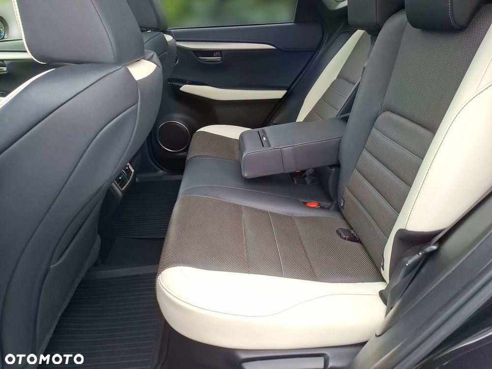 Lexus NX 300 GPF F Sport AWD - 15