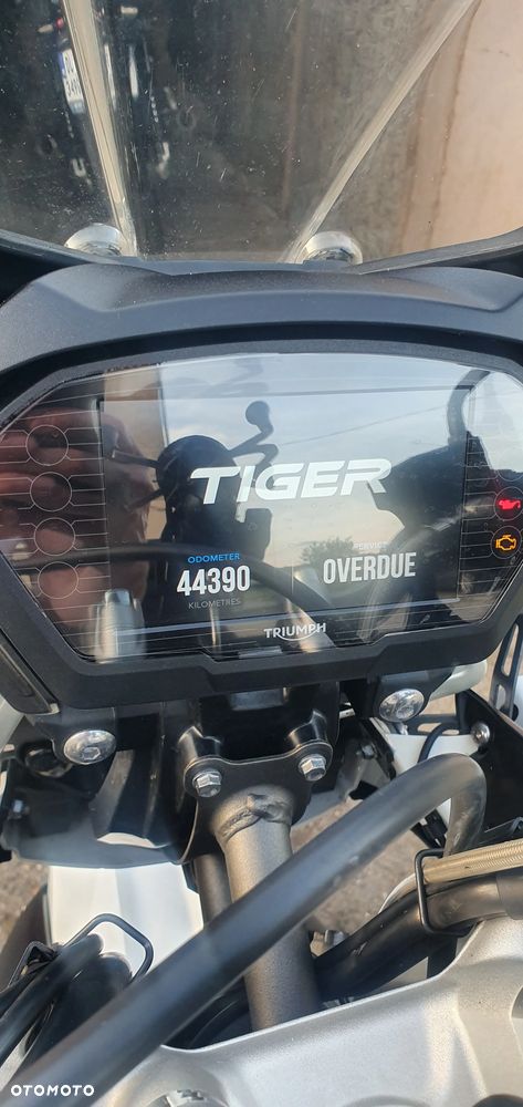 Triumph Tiger - 2