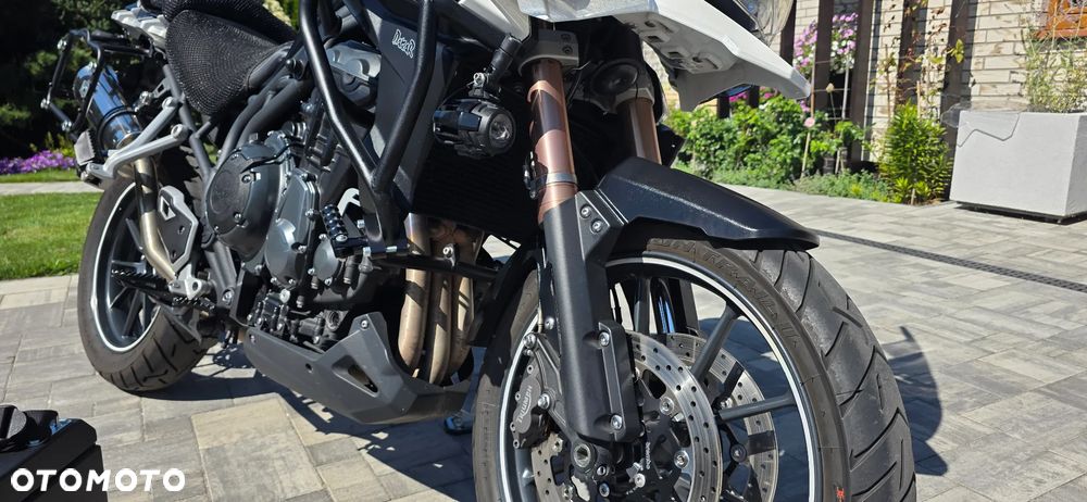 Triumph Tiger - 11