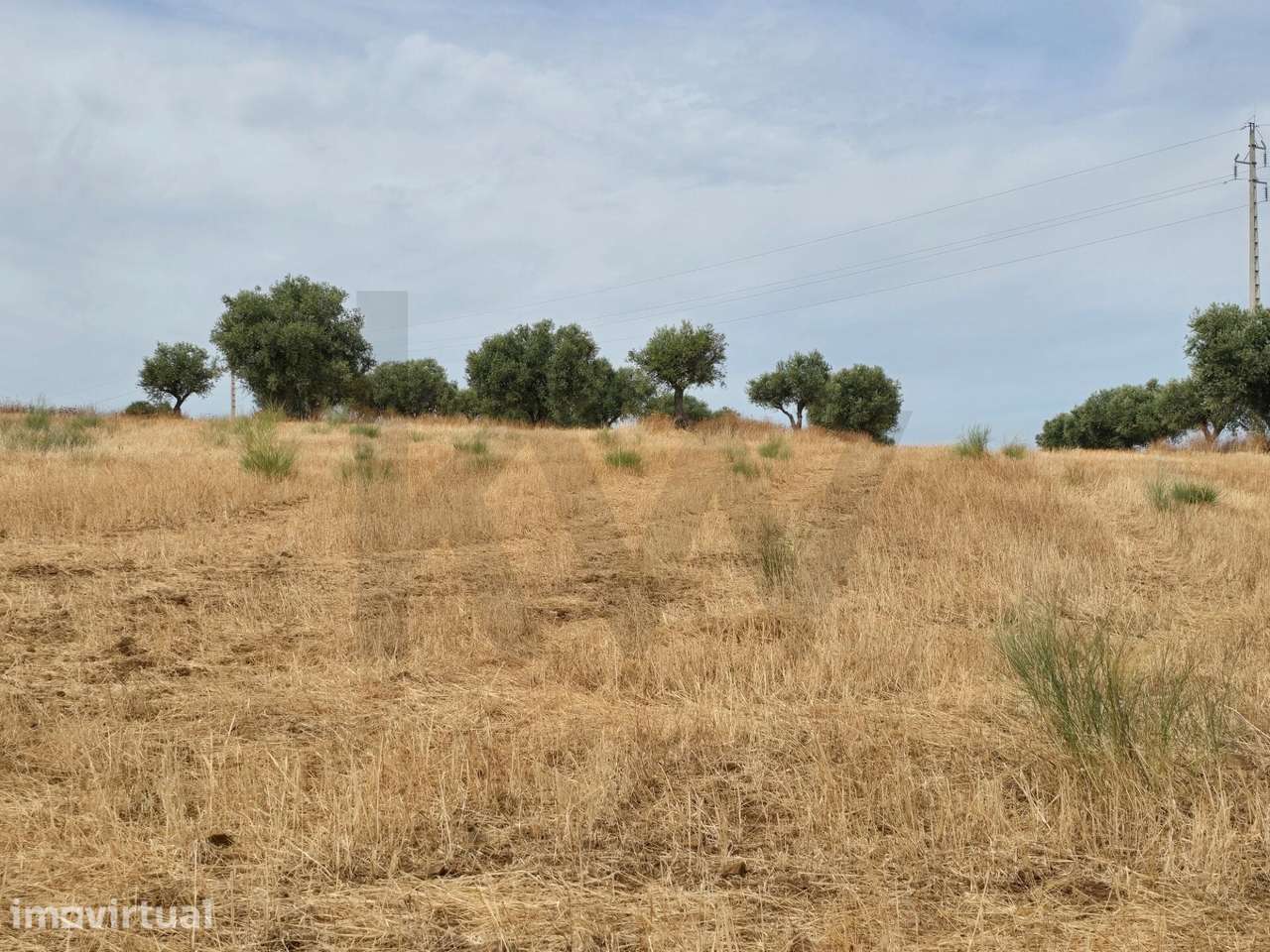 Terrenos agrícola junto à aldeia de Pedrógão do Alentejo - Vidigueira - Grande imagem: 2/16