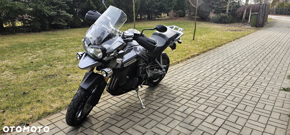 Triumph Tiger - 1