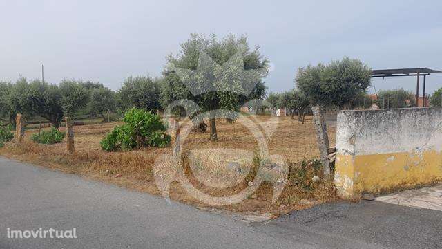 Predio em Propriedade S.Pedro do Corval - Grande imagem: 3/9