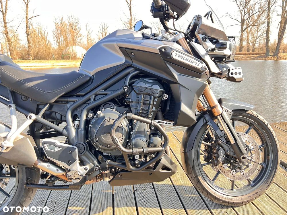 Triumph Tiger - 27