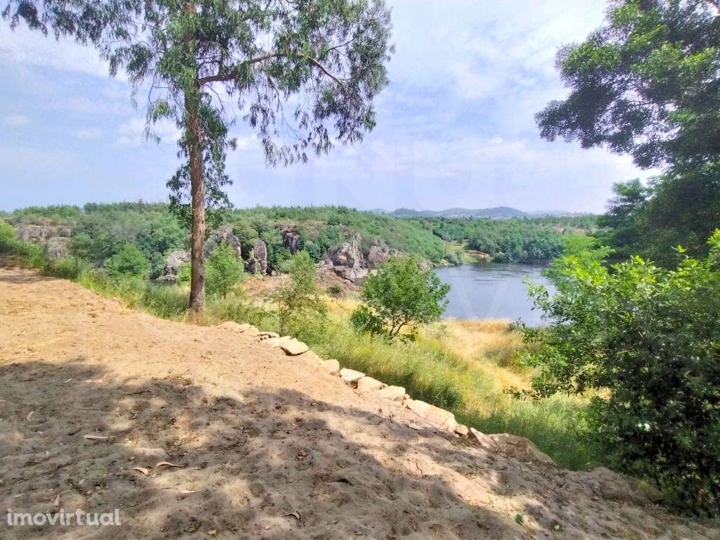 Terreno em Monção com Vinha e Vista Rio - Grande imagem: 4/9