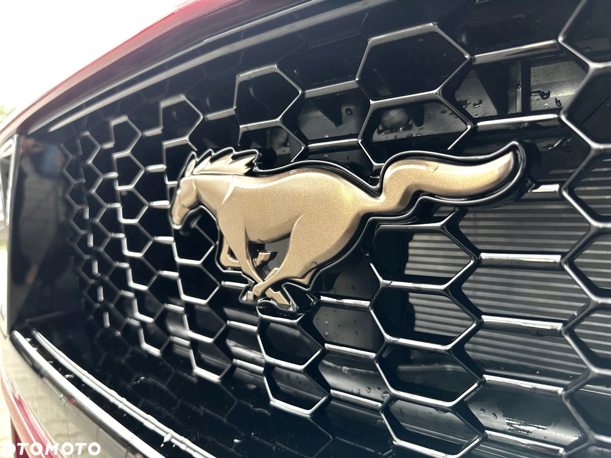 Ford Mustang 5.0 Ti-VCT V8 Dark Horse - 12