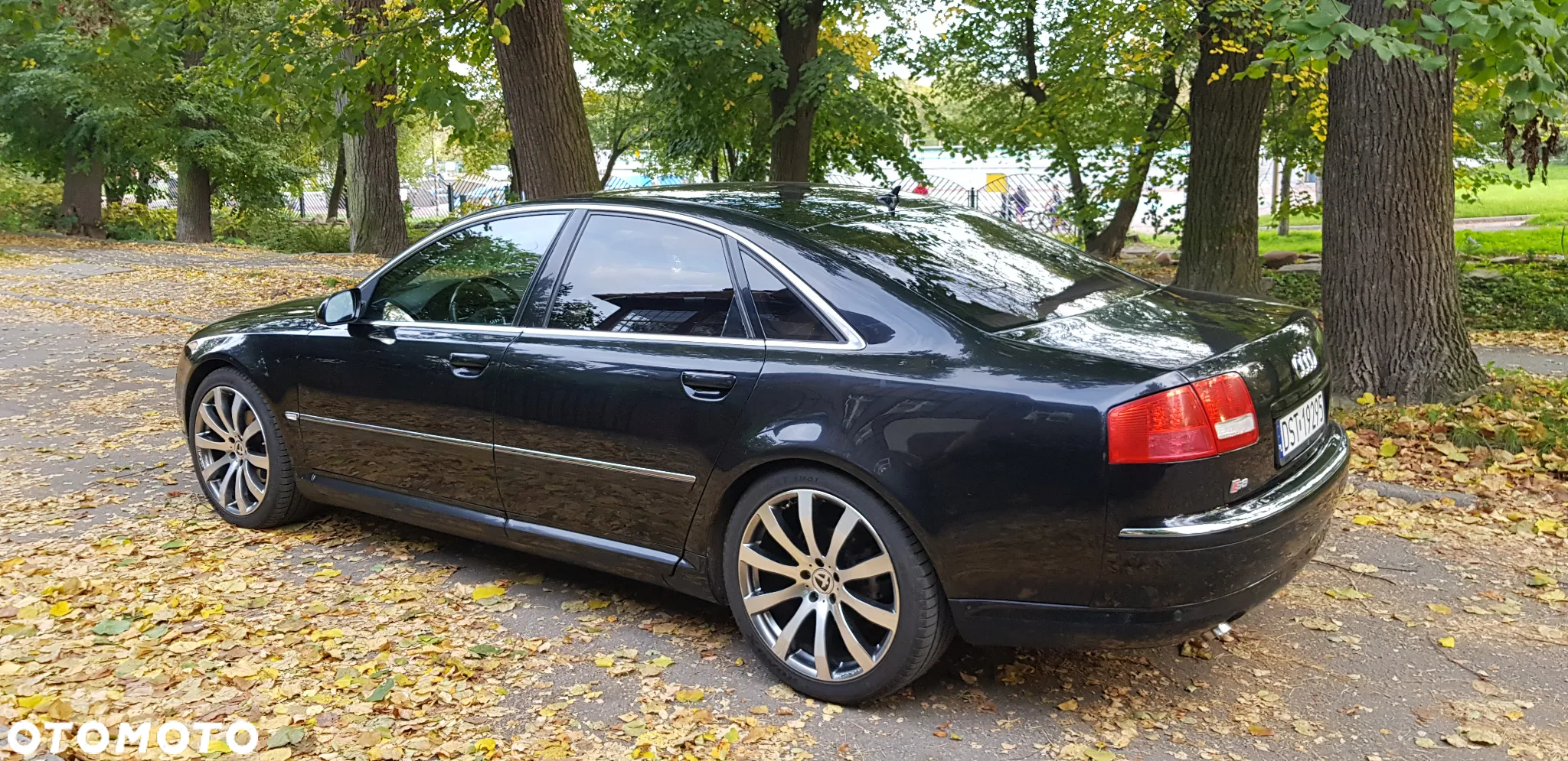 Audi A8 3.0 TDI Quattro - 5