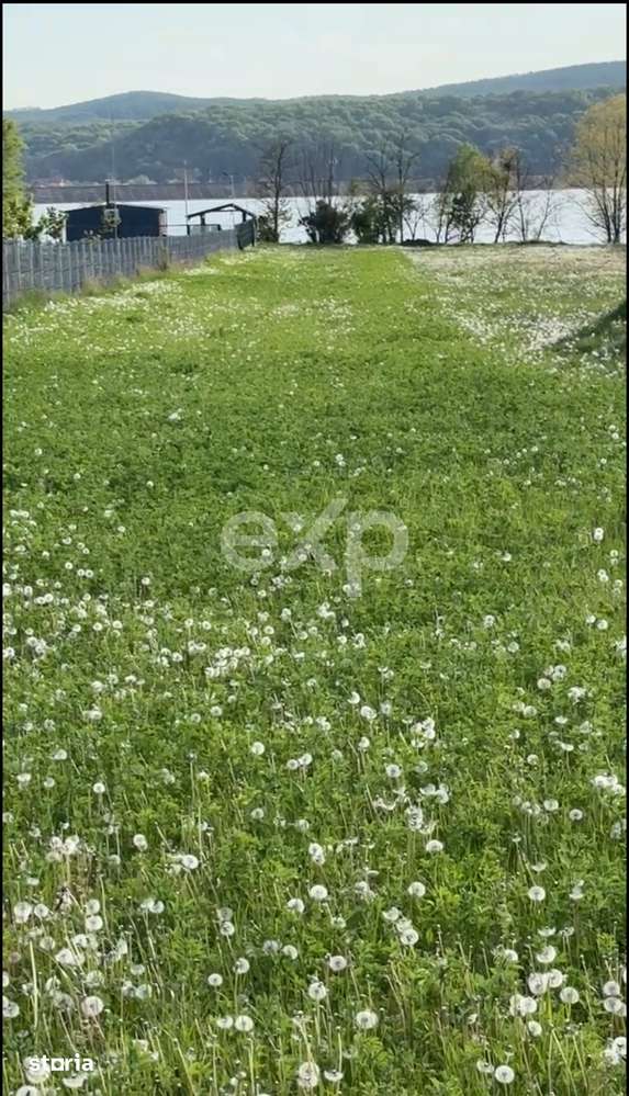 Teren 2100 mp cu iesire la lac – Budeasa Mare - Imagine principală: 4/5