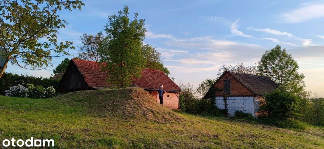 Duża działka/siedlisko, stary dom - Pełny obrazek: 5/6