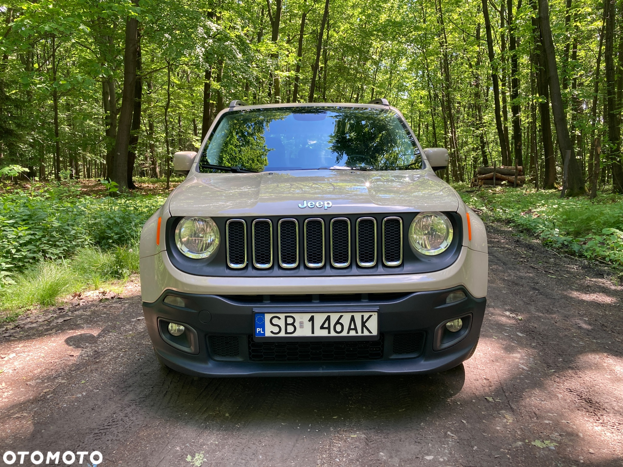 Jeep Renegade 1.6 MultiJet Longitude FWD S&S - 3