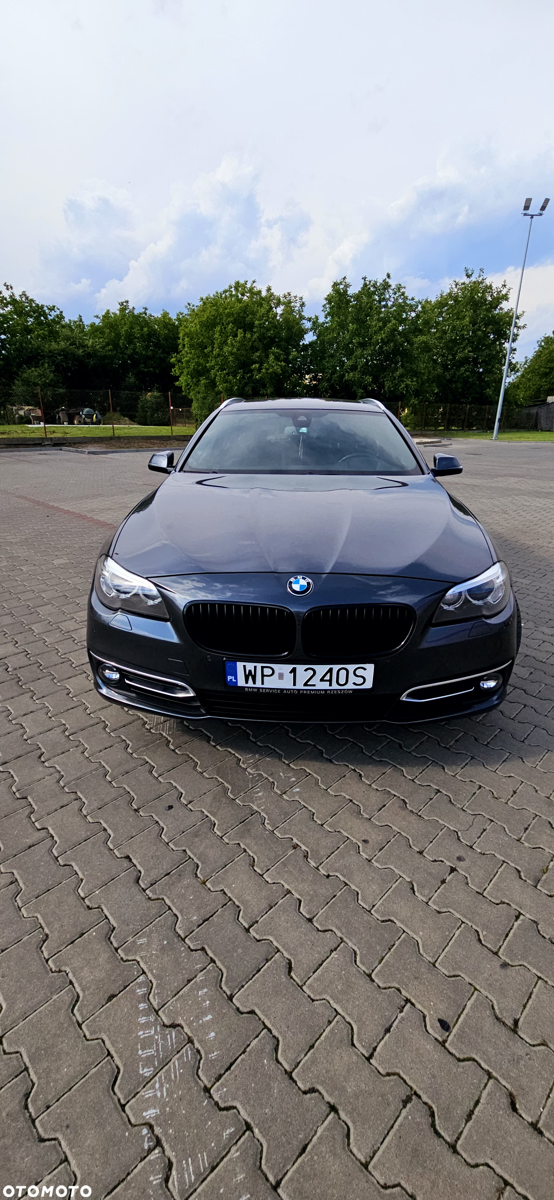 BMW Seria 5 520d Luxury Line - 2