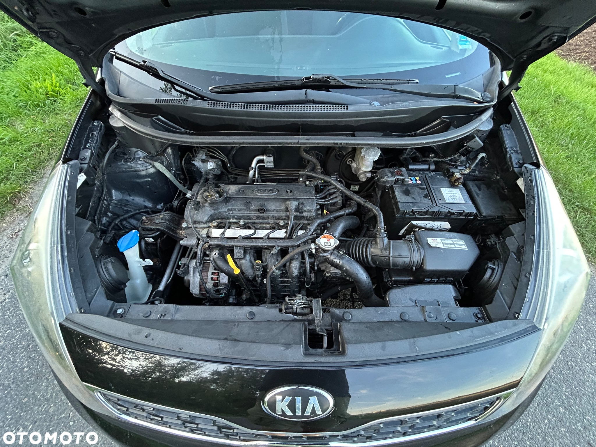 Kia Rio - 15