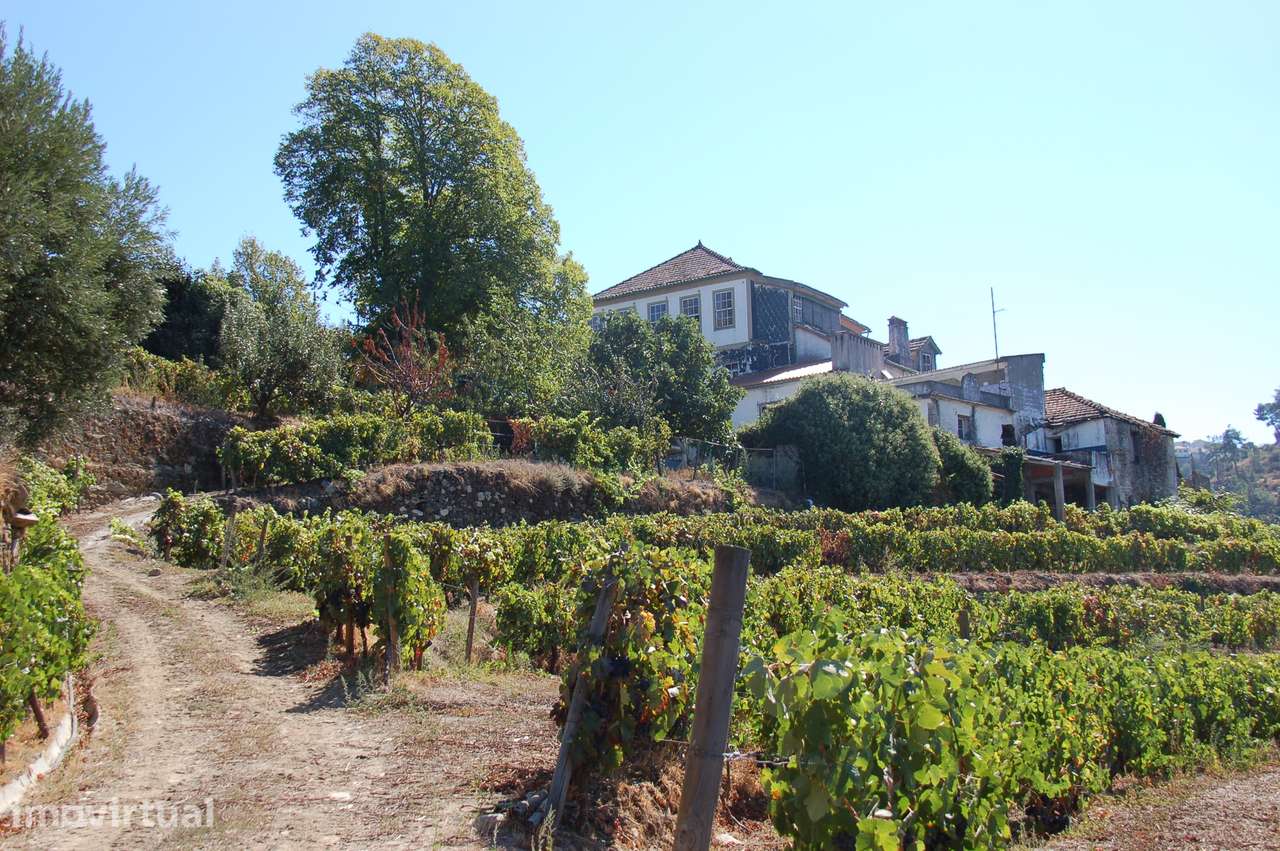 Quinta de Balteiro | Armamar | Douro | Portugal - Grande imagem: 2/60