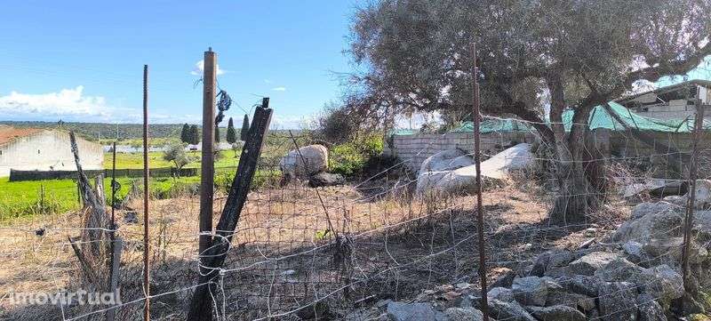 Terreno p/Urbanização - Grande imagem: 2/5