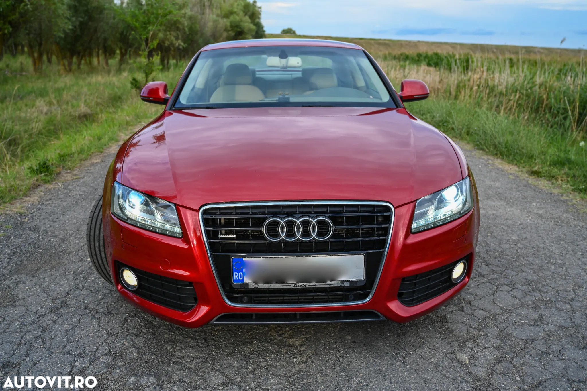Audi A5 3.0 TDI DPF quattro - 2