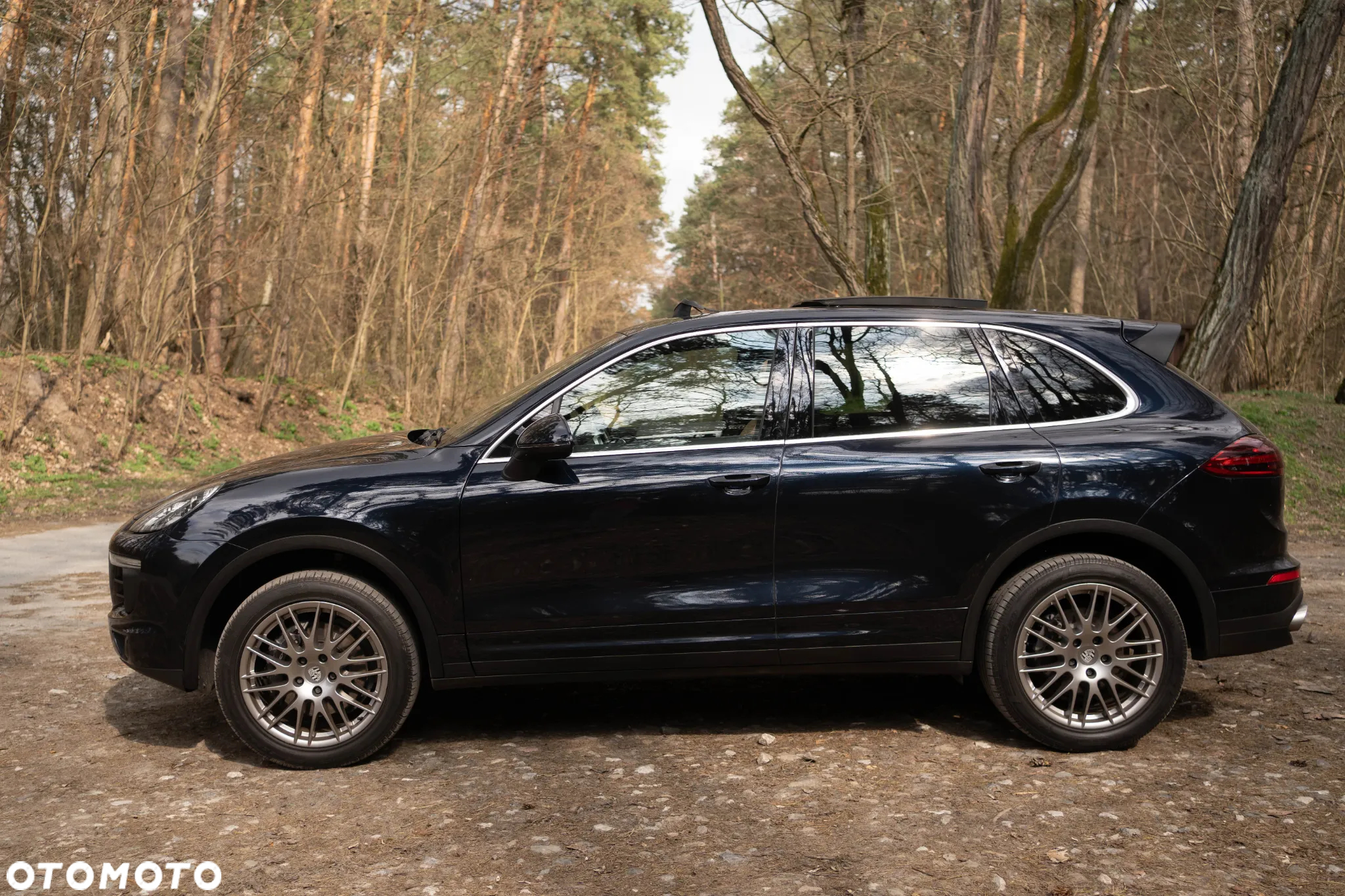Porsche Cayenne Platinum Edition - 9