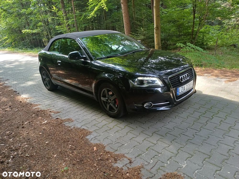Audi A3 Cabrio 1.9 TDI DPF Ambition - 5
