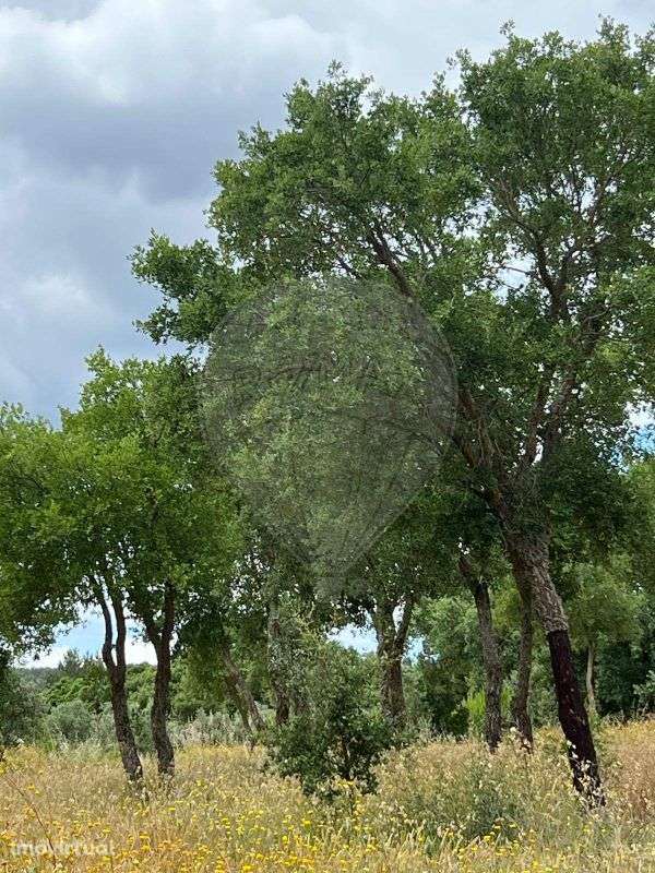 Terreno  para venda - Grande imagem: 3/4