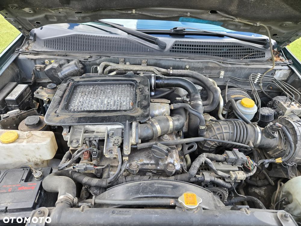Nissan Terrano - 9