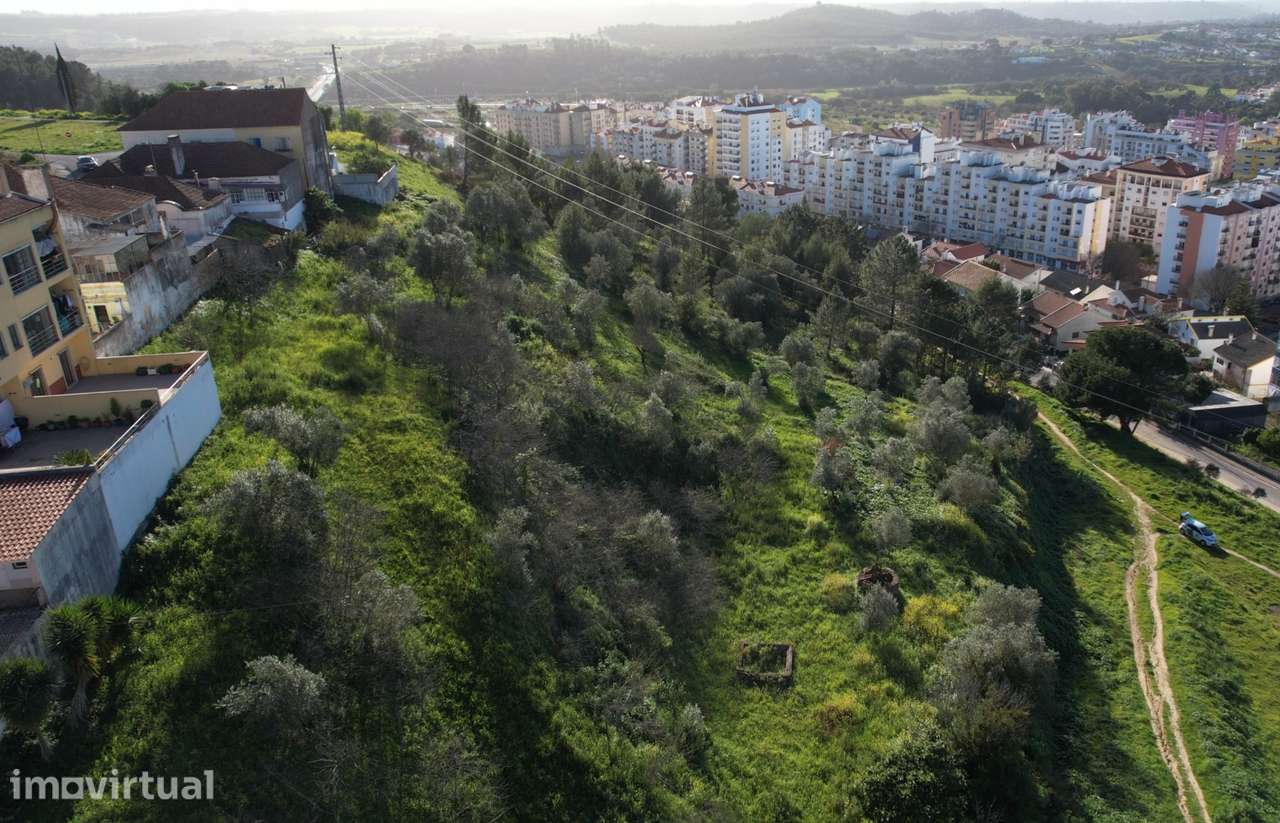 Terreno Rústico  Venda em Santarém (Marvila), Santa Iria da Ribeira de - Grande imagem: 2/6