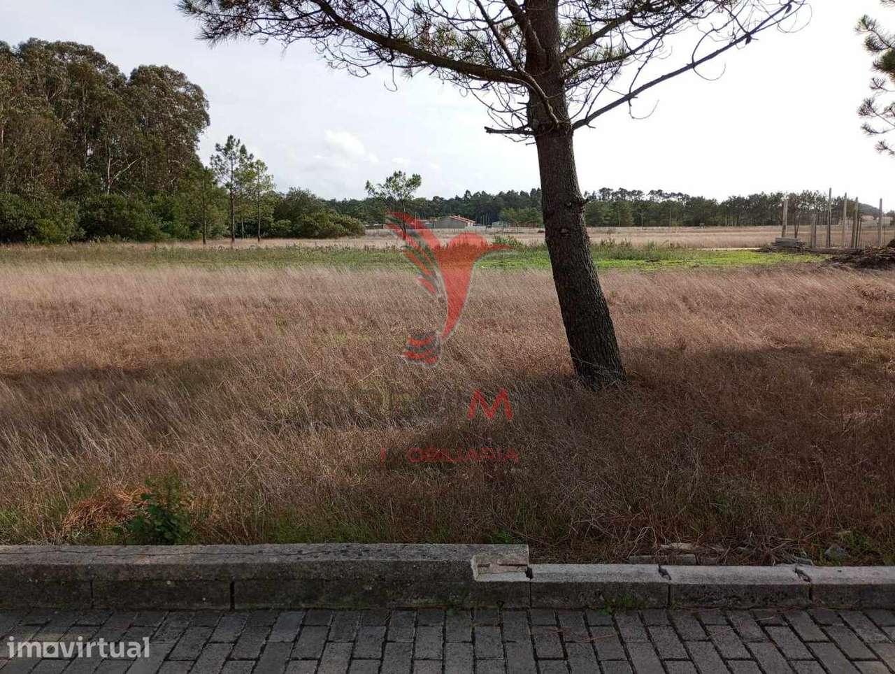 Lote de terreno de 420 m² - Gafanha Do Carmo - Grande imagem: 2/3