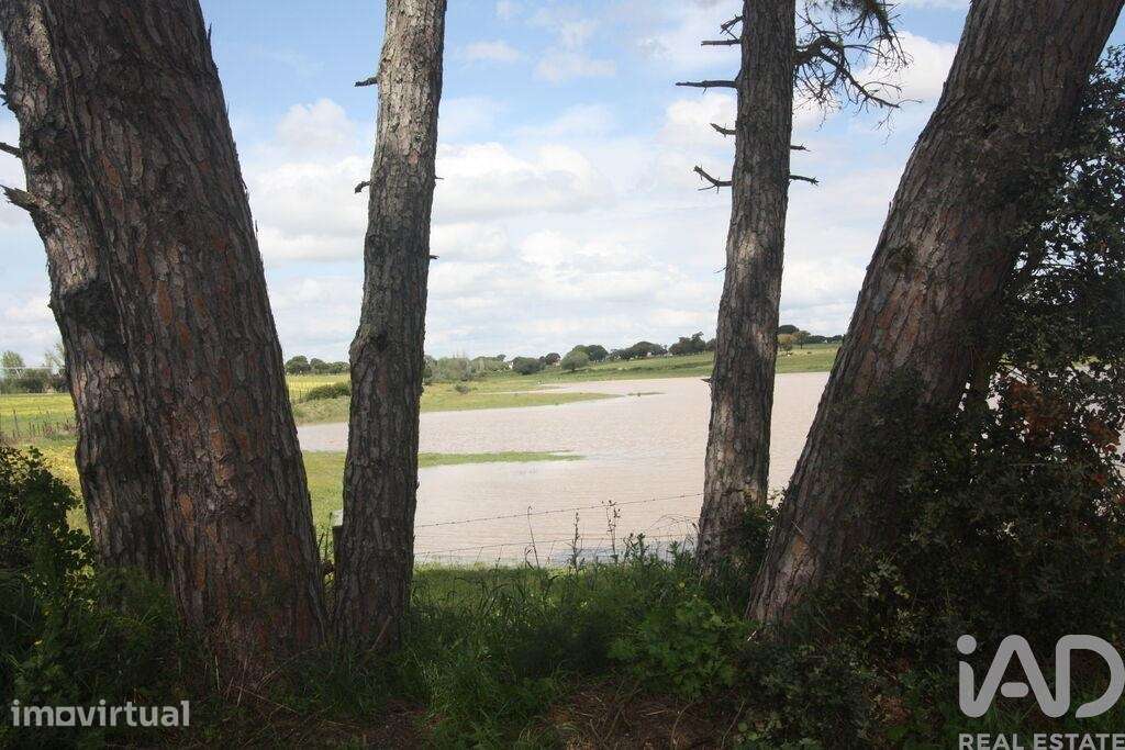 Terreno para construção T8 em Poceirão e Marateca de 19000,00 m2 - Grande imagem: 2/30